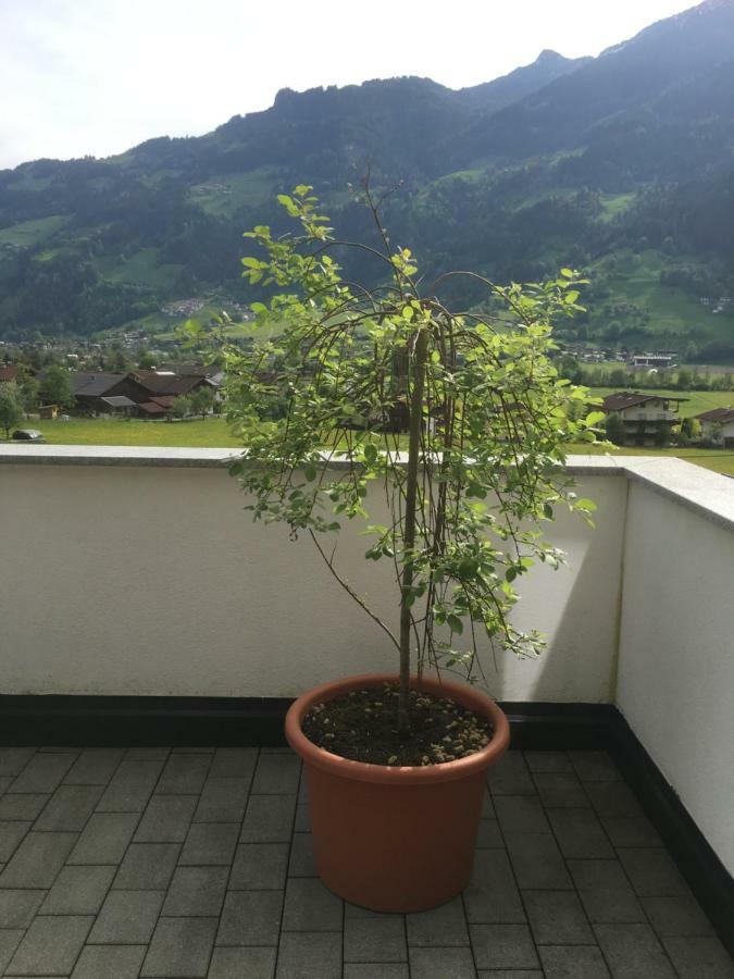 Ferienwohnung Walder Mayrhofen Exterior foto